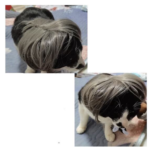 2 Pack TESSVEYA Pet Cosplay Wigs Dog Cat Costume Hairpieces Dark Grey New - Picture 6 of 6